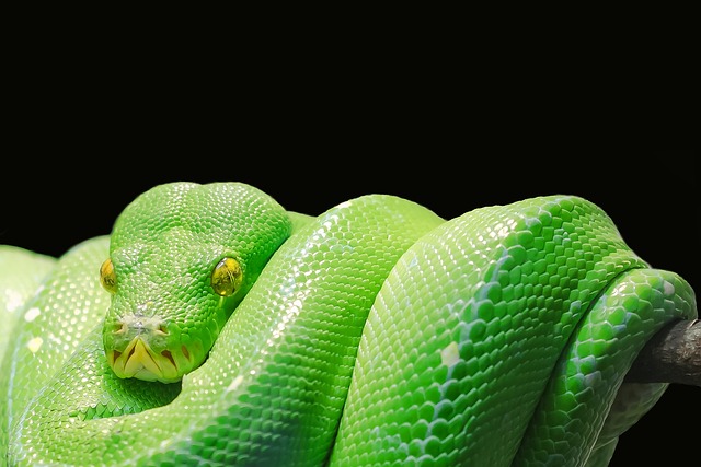 programar en python desde cero